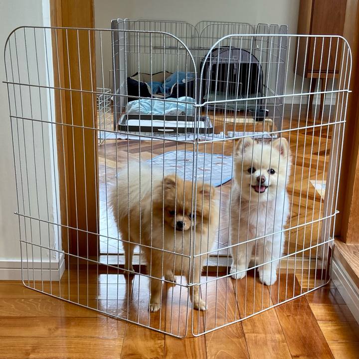 603f0f67 e8af 4f3f a8b7 79c0e63bad4e 1657762968920