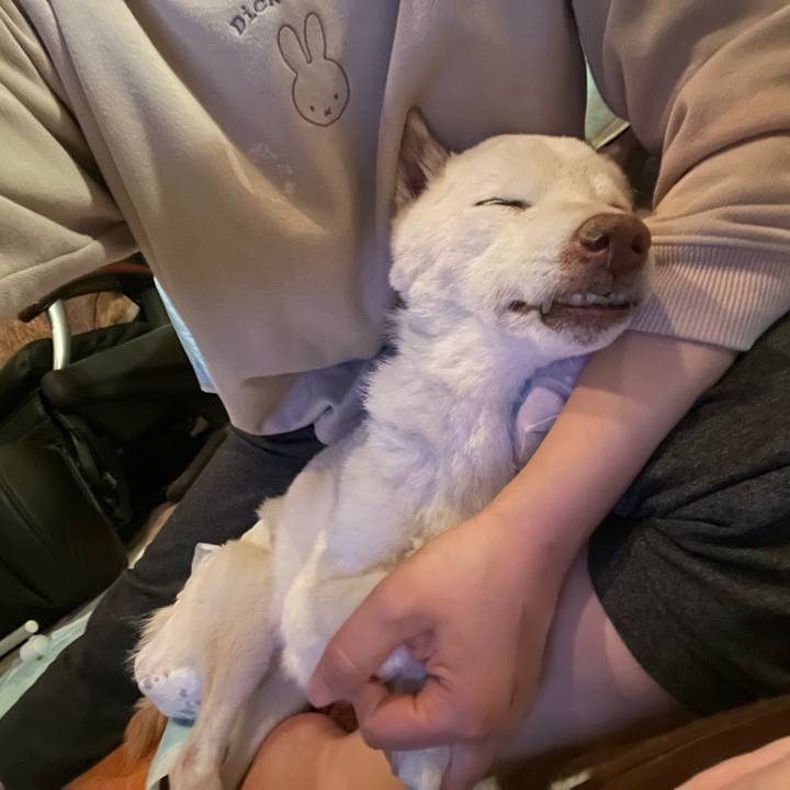 603f271b 175a 4bf0 a45e d5c2a6d7ea65 1675685846864