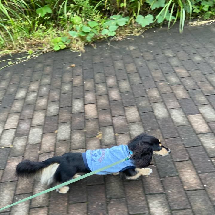 603f7709 d906 49df 89de b7e4da4496ed 1727656876604