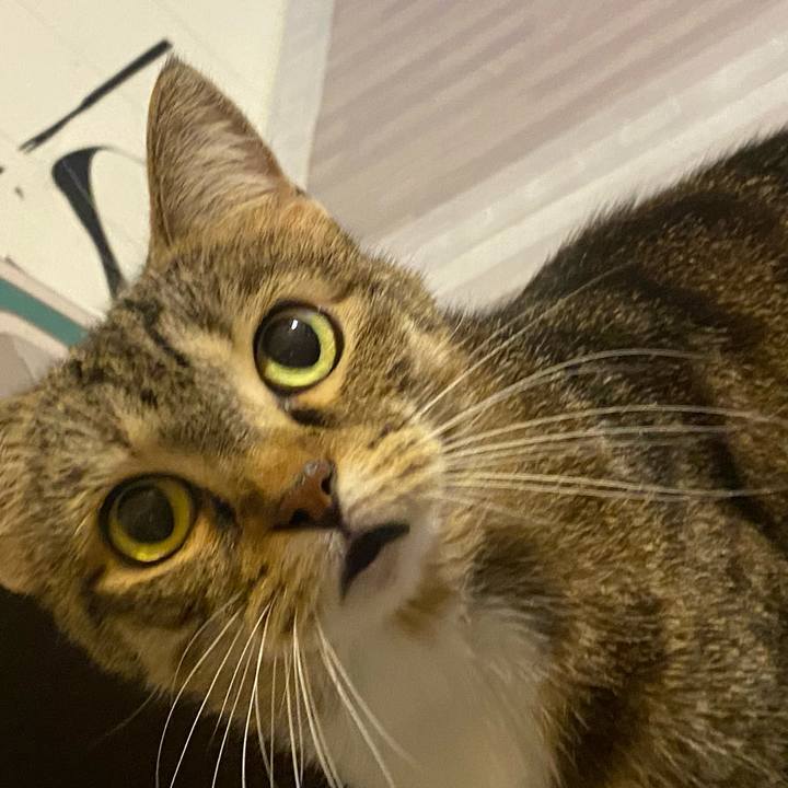 603f8600 2064 4993 b5ed b0819883c7ae 1634035274917