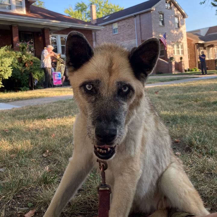 603fac30 d338 48ae b7c4 9583b401f398 1598064306151