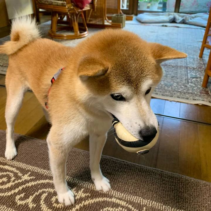 603fb2d6 4301 44d6 97fd 2a8201af0381 1685790476470