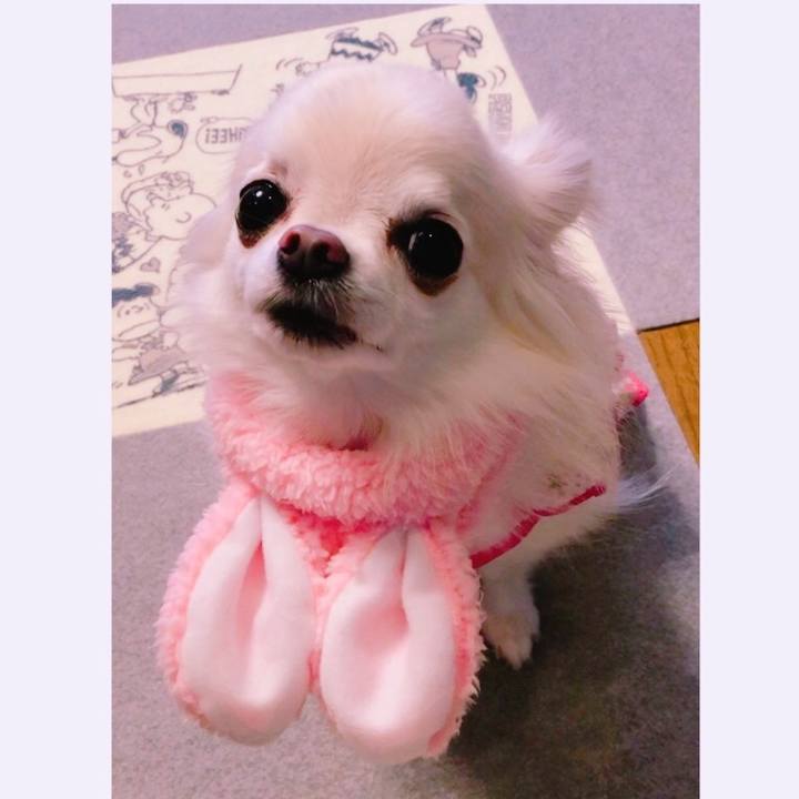 603fc7be c865 40a1 83c4 9453242766d4 1568382206677