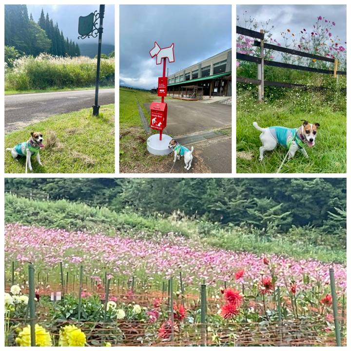 603fca56 d9be 42d5 8699 368c5c1cadb9 1757404893590