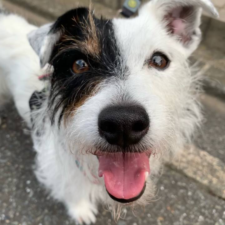 603fdfd3 708d 4238 bc09 3e9204873b73 1656320832221