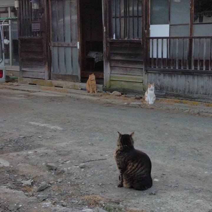 603feb9e 424d 49c7 b45d df1476321c03 1747648366638