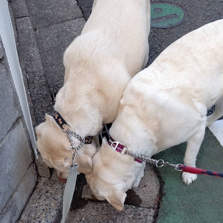 604030a7 b315 4bf6 b259 40f83aa2470f 1648107797915