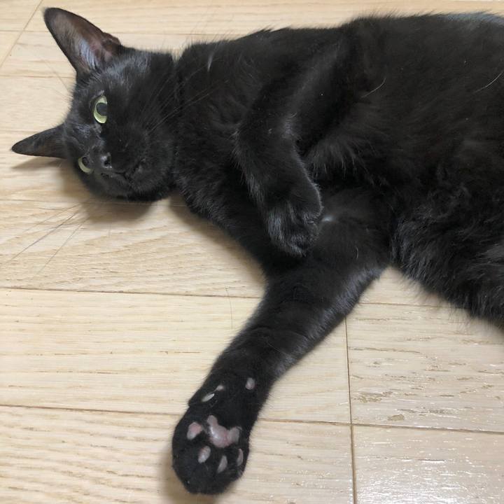 60403ba2 22ad 4e57 bcf2 81943c7b331c 1598706045934