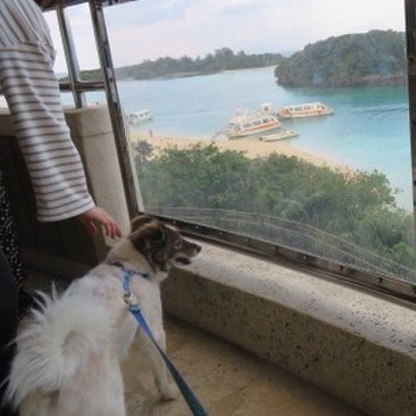 60404557 ca1e 4f56 a995 e70b655bff5d 1576758573789