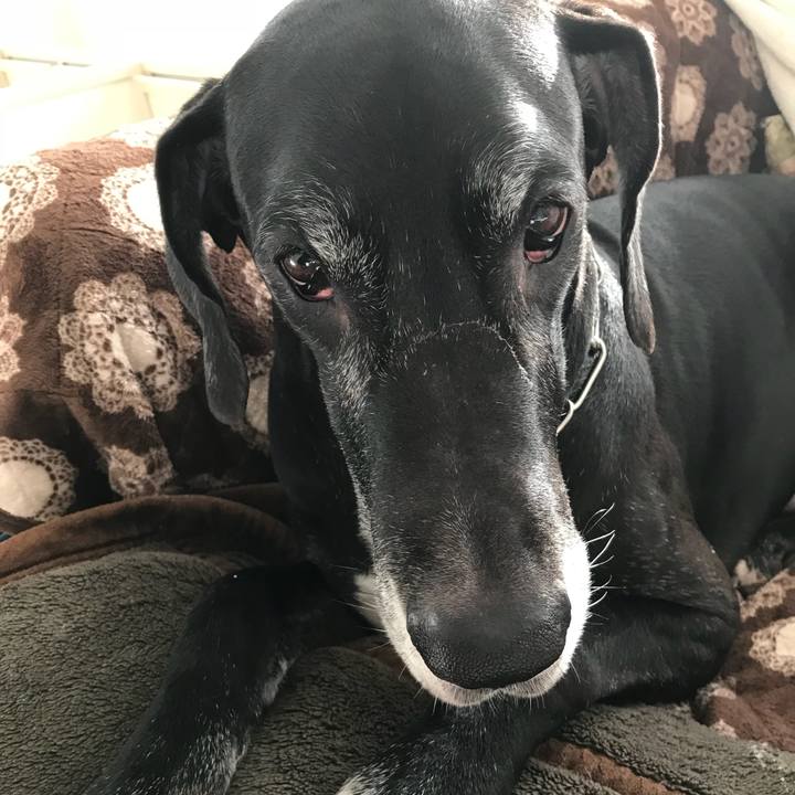 6040626e 3c27 4dbf b466 7ded71f7dfe9 1511478017440