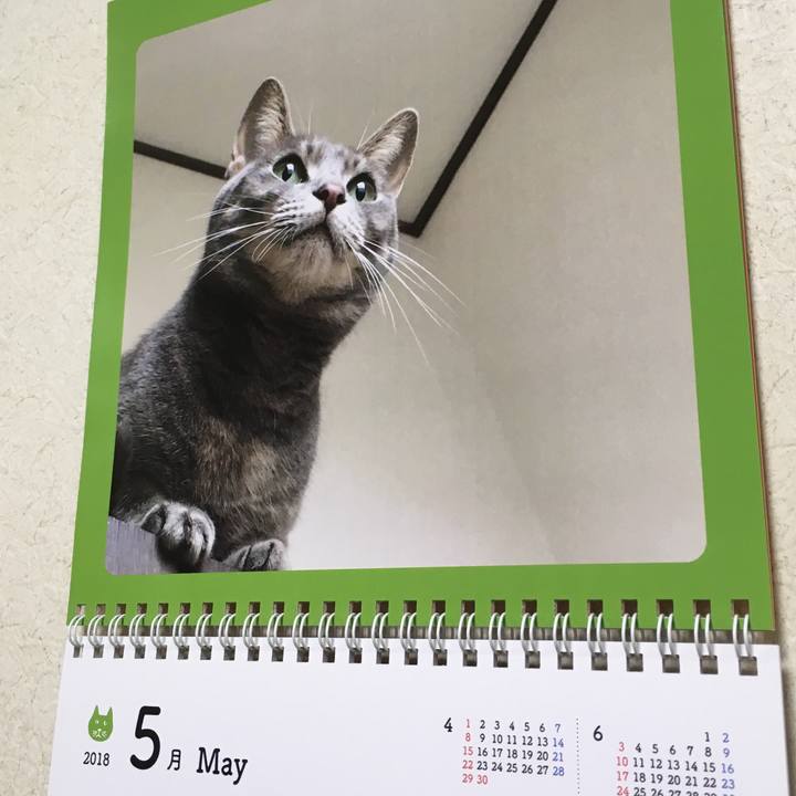 6040d721 6bc8 47fa 91a0 f4d745618b45 1525176754703