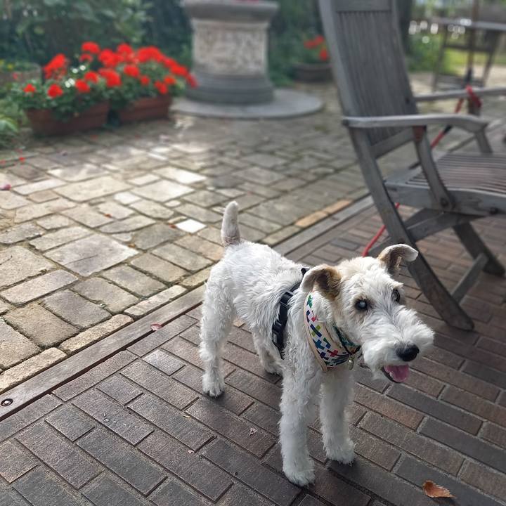 6040e753 e827 462f b9f7 93f29b3762d8 1604243099215