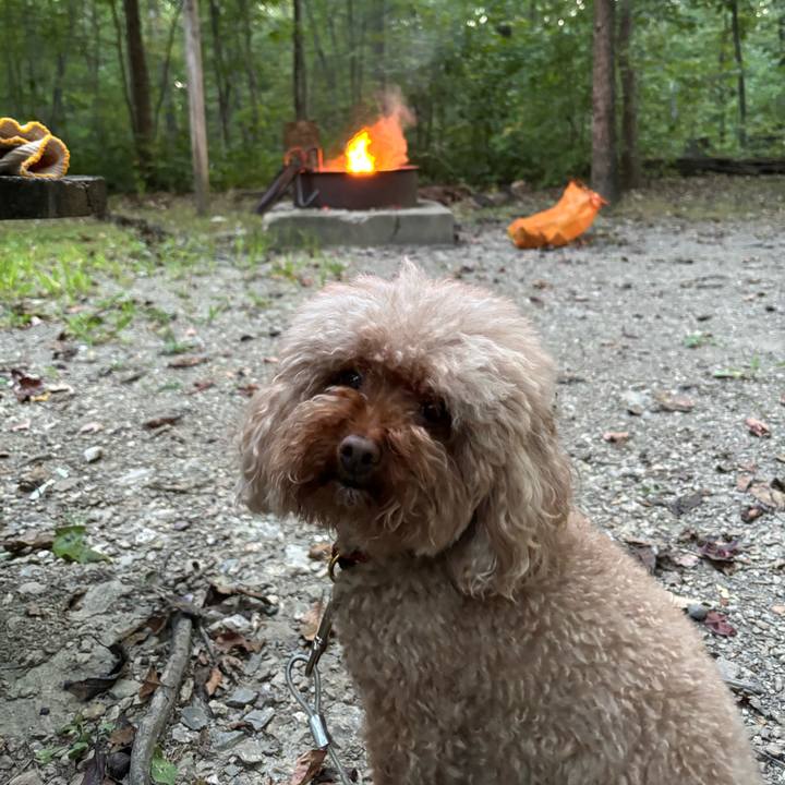 6040f223 84f1 4dfd 9f2f aca7bd32526e 1756646657981