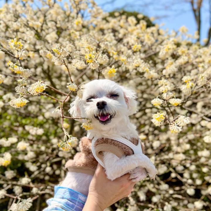 6040f5de 8e69 4c0f 8f1d 5f684d33db36 1680936554417