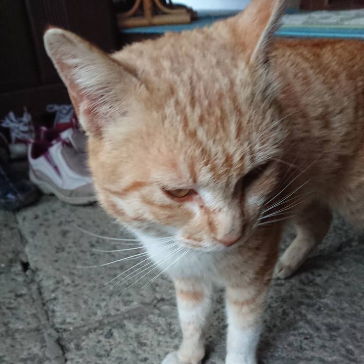 6040fedf 36d7 4fee adaf 56de010f5291 1554714075535