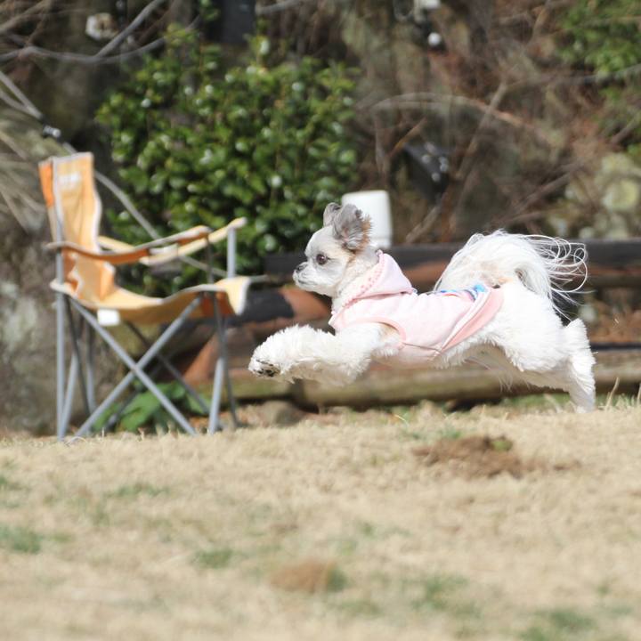 604113ce 241a 4f73 acc1 3644063cb507 1584320539822