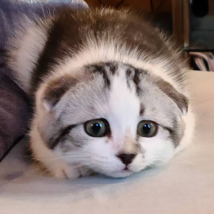 60414d34 3207 4e3c 868e f1d2dcf81c35 1626855773691