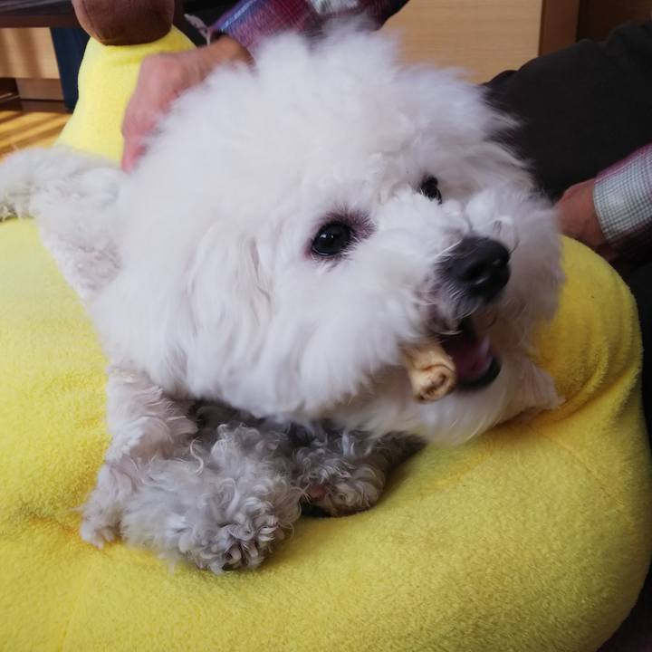 60416502 a267 4882 baab 5cabe3296001 1514631512942