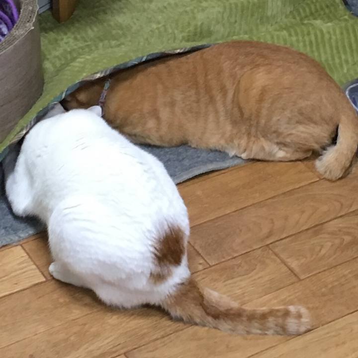 60416673 7908 447d 9872 bc84b4d3dc2d 1549686186857