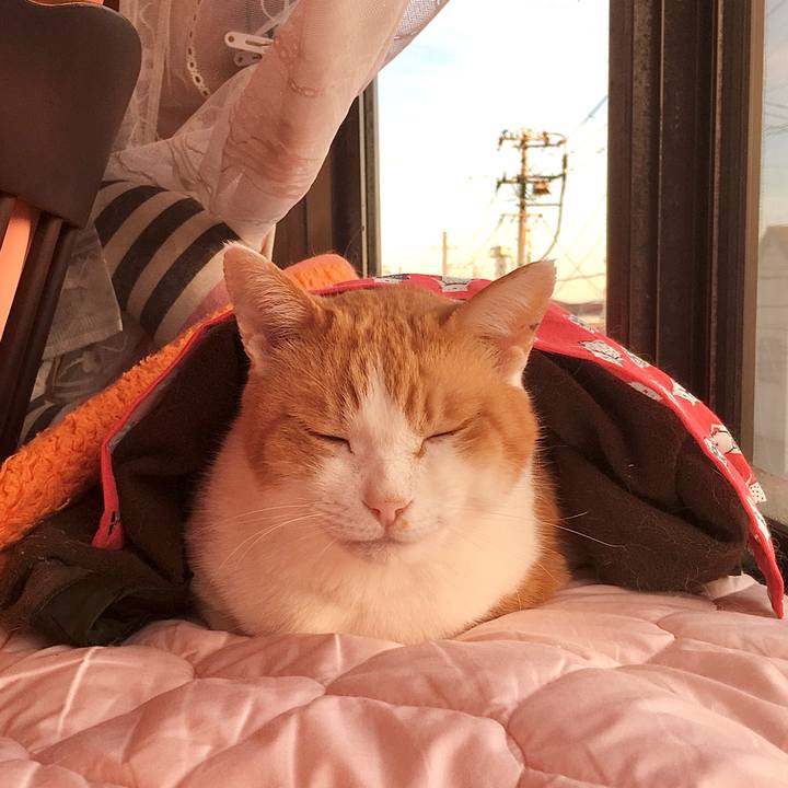 6041bf19 75a1 4712 996e 2d23159c7e50 1581499017823