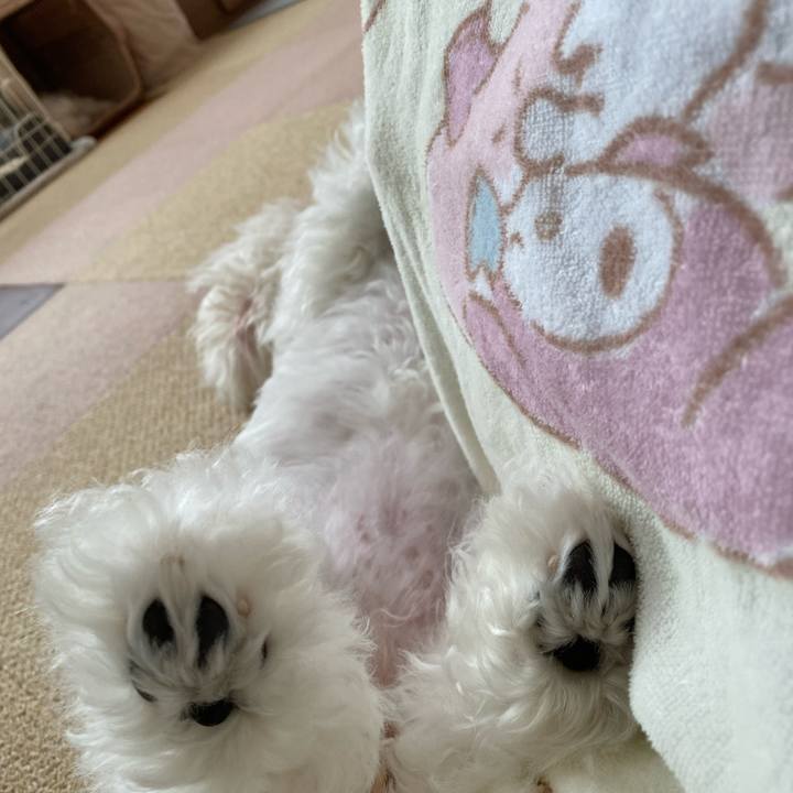 6041cab9 b8c3 4828 83e6 2208c23f465a 1751417532828