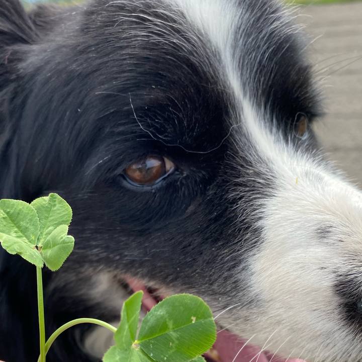 6041d652 b9b8 49bc 88c1 7a73fe7682d2 1685235423475