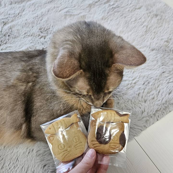 60420794 6aa4 456b 9cfa 0ba13c1aef40 1708737870890