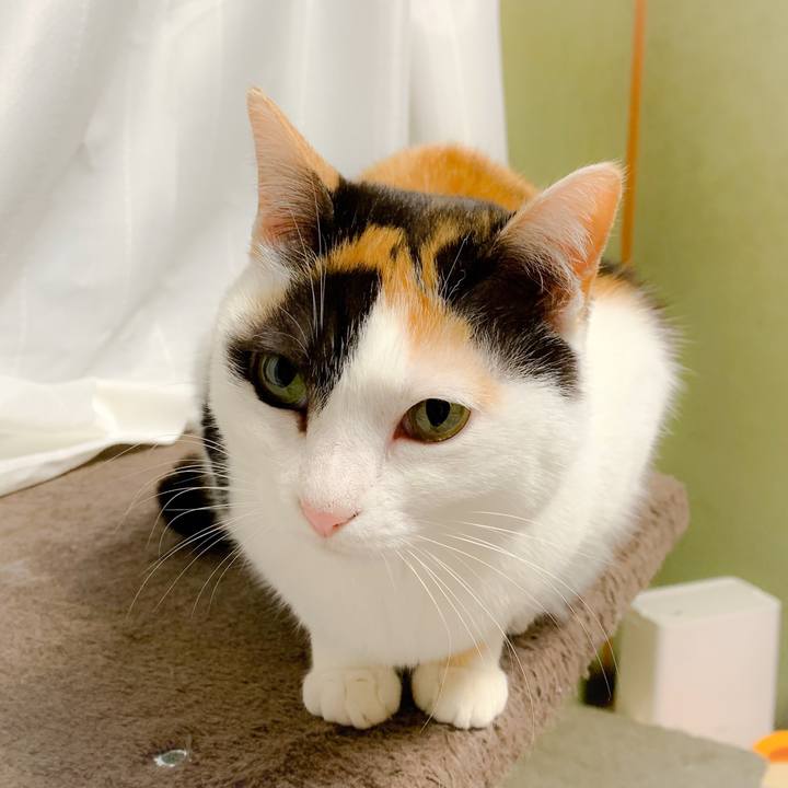 60421128 a4f7 4d5c 82f6 71bc9664b8c5 1559785238704