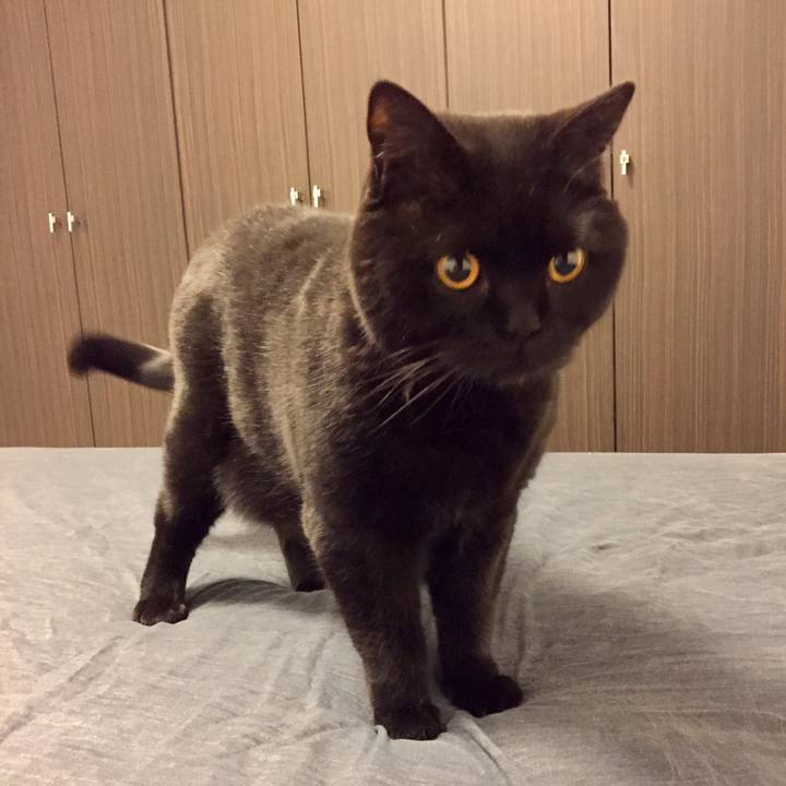 604221e0 83e9 435d 8412 6051b16c09ed 1587471283167