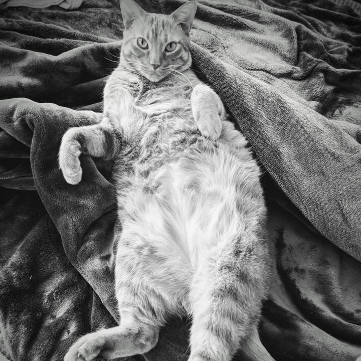 6042a5da 5338 4672 8553 297872ff80e1 1648953004792