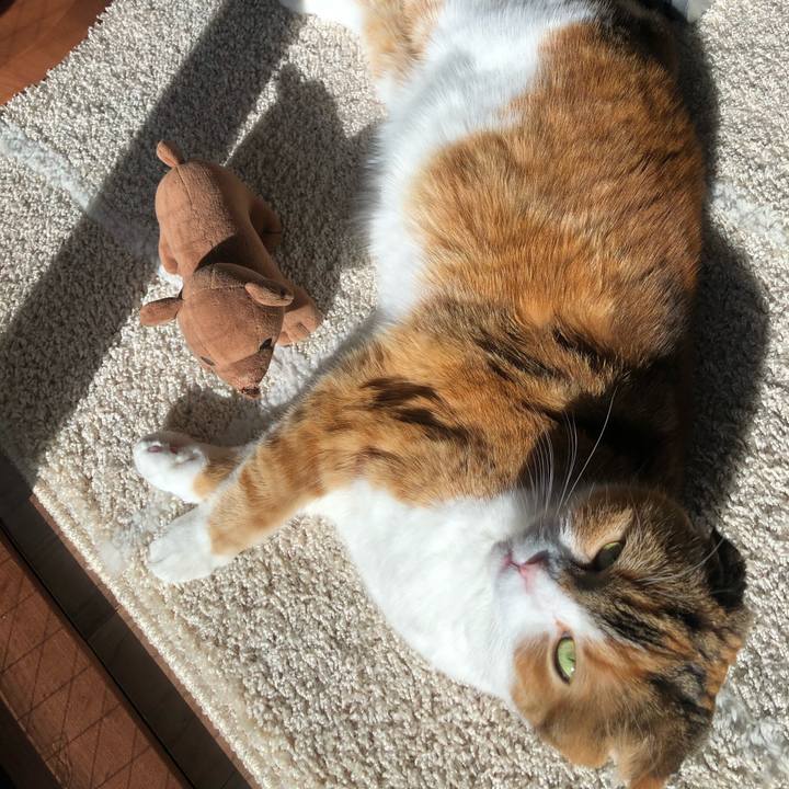 6042b6f8 2d32 4339 93b0 ba8ff349ecb4 1609379439025