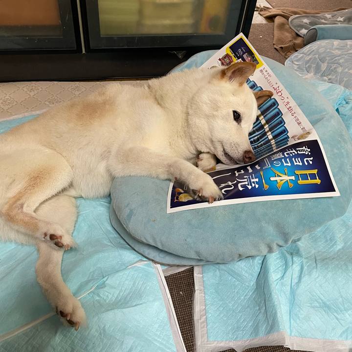 6042bc7f 3665 4197 bc17 aeddfab11c2a 1653315896782