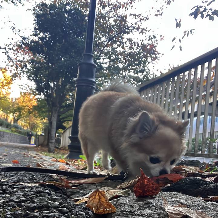 6042c1c2 5074 4a22 b0dd 6f71733cc981 1763354394722