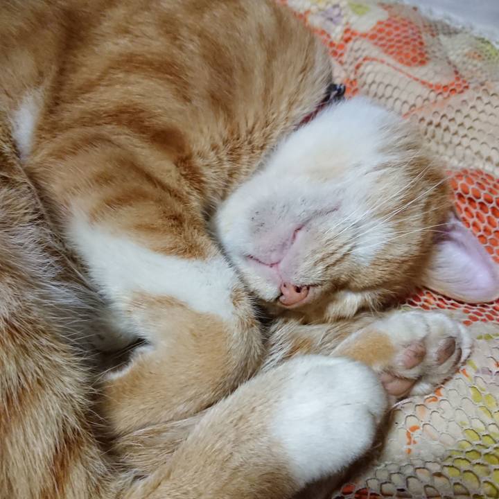 60430688 dab2 41cc a3f1 c741ede5eec2 1569418221199