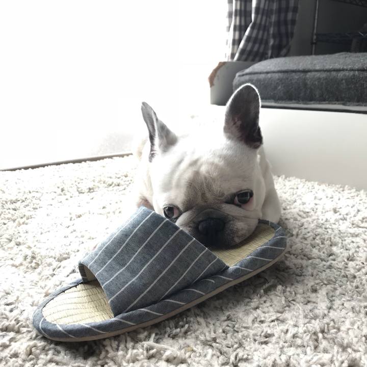 60430960 7386 4344 8eaf 8992d626253b 1533083764899