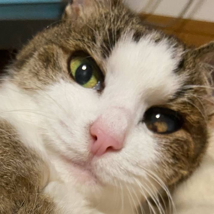 60430f0e 5477 4a01 9107 22068f3f6511 1591274945761