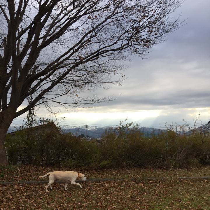 60431907 281b 4252 a681 827b00481412 1511916123059