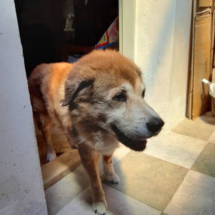 604323ec d218 4a1c 9307 797656272887 1772384236958