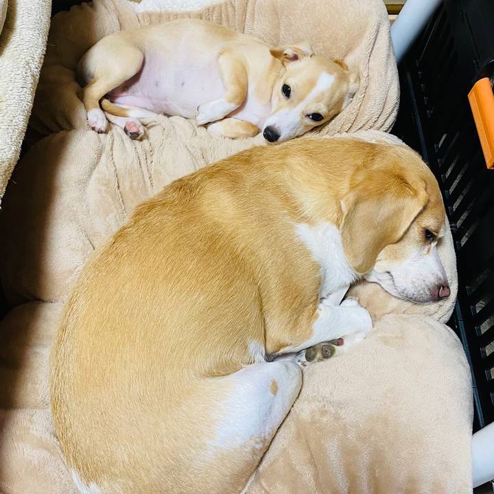 60433b6a 9a60 4e26 86db c26b60f0e08a 1668060826437