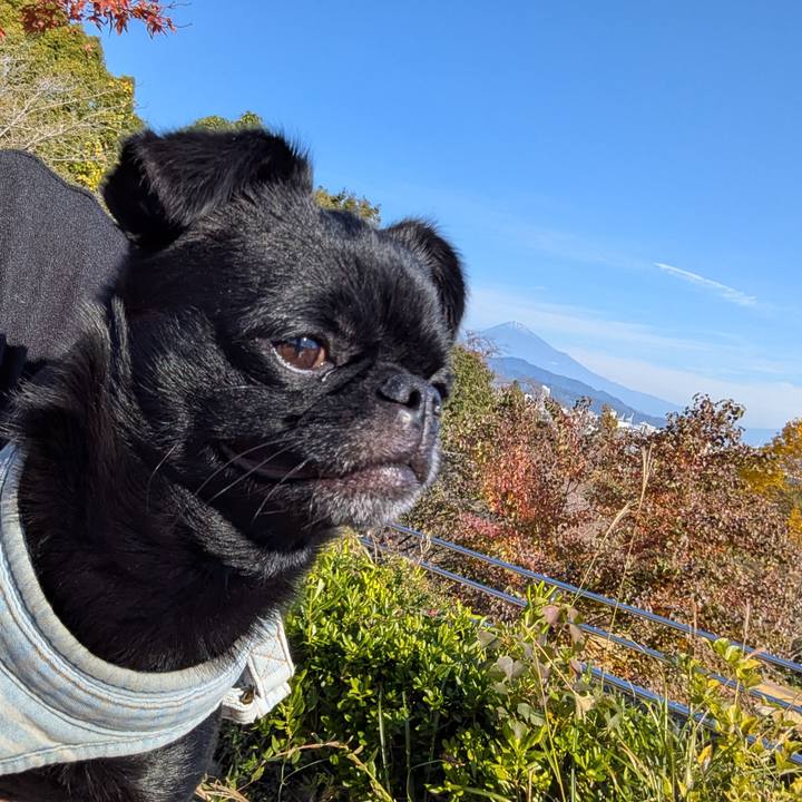 60435a88 ae04 4d92 8ca5 d6531e1d1747 1763984699052