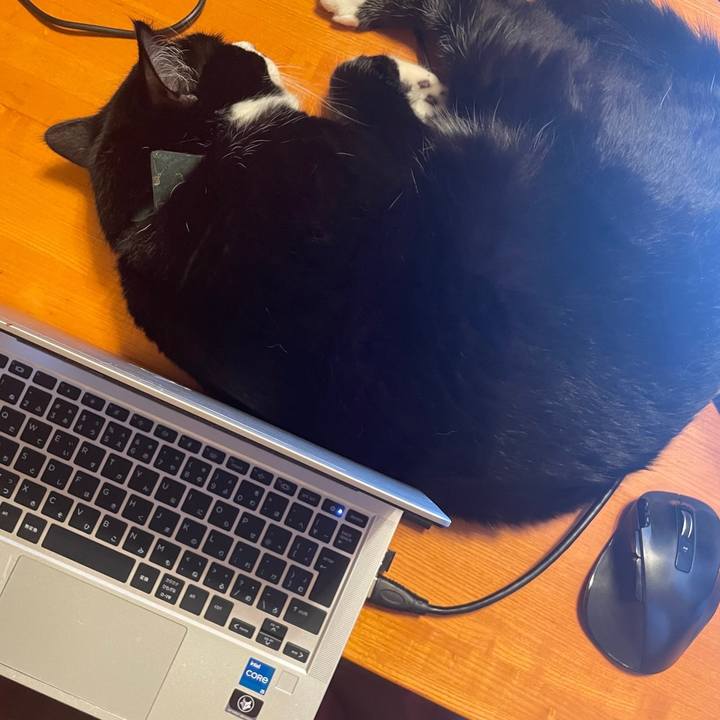 60438d82 399b 4bb2 9852 2ea725757773 1723631434959