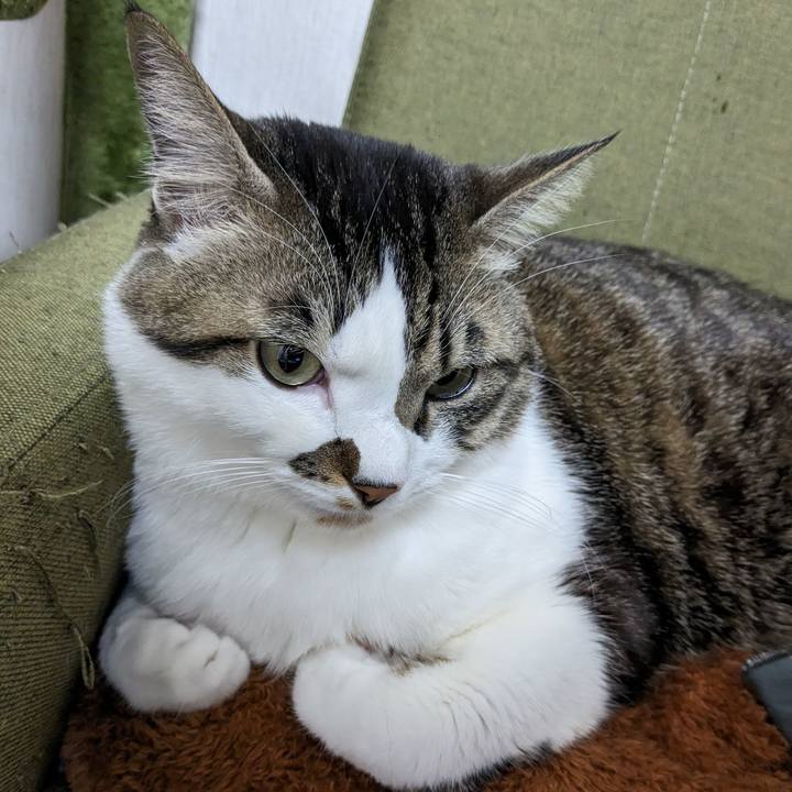 6043d56c 37d8 41c7 8da3 7fe15ed50a9a 1707783748087