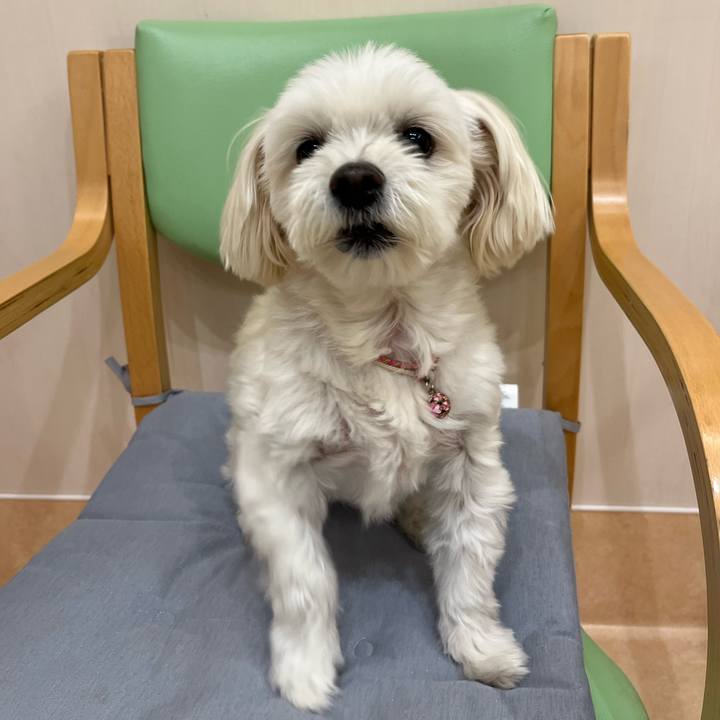 6043e0dc 179e 4612 a658 d473f6d24420 1669290384027