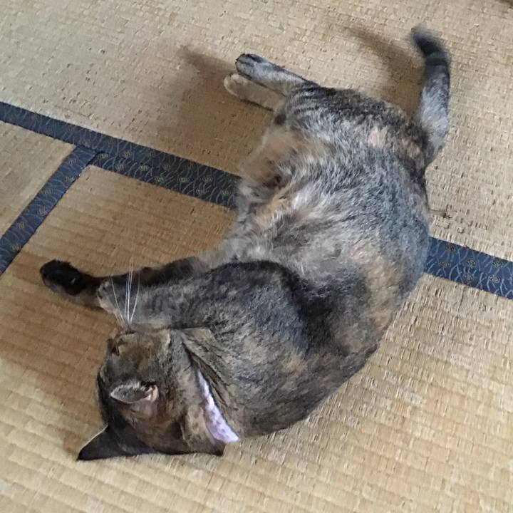 60442ee6 5537 4c53 a0ad f0fbec5aa926 1755516139882