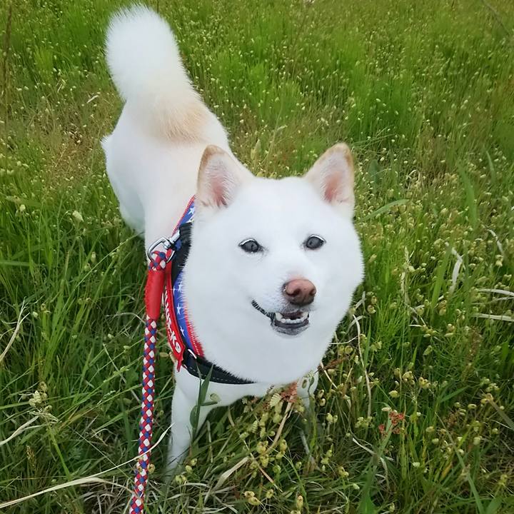 60442f4a 0b13 42b9 88d7 0a30e329b314 1590406094946