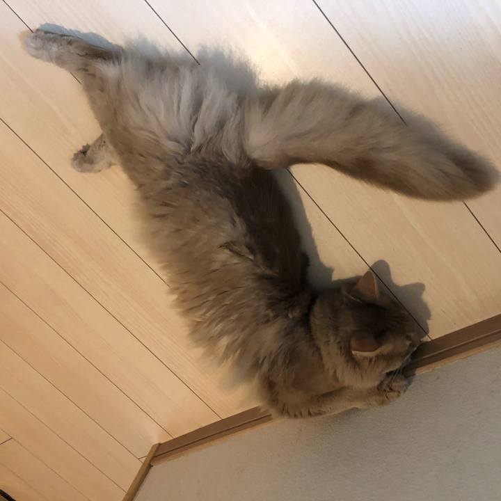 60443356 fb8c 4d95 b16b 930d9b9a1c48 1627573722454