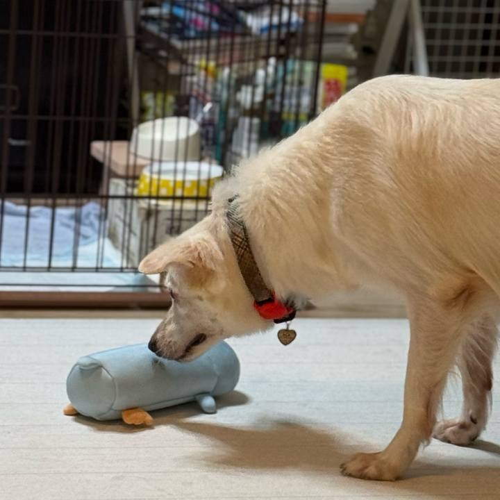 60443550 b348 43d0 8dad f8f3e2ff9087 1759929274643