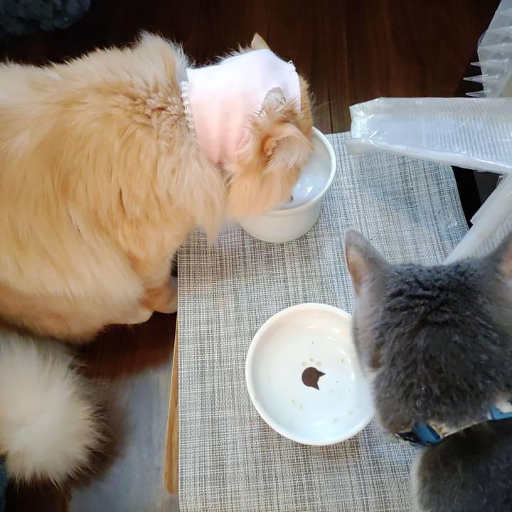 6044389d bfce 49f4 a603 94878078f0e2 1682548121209