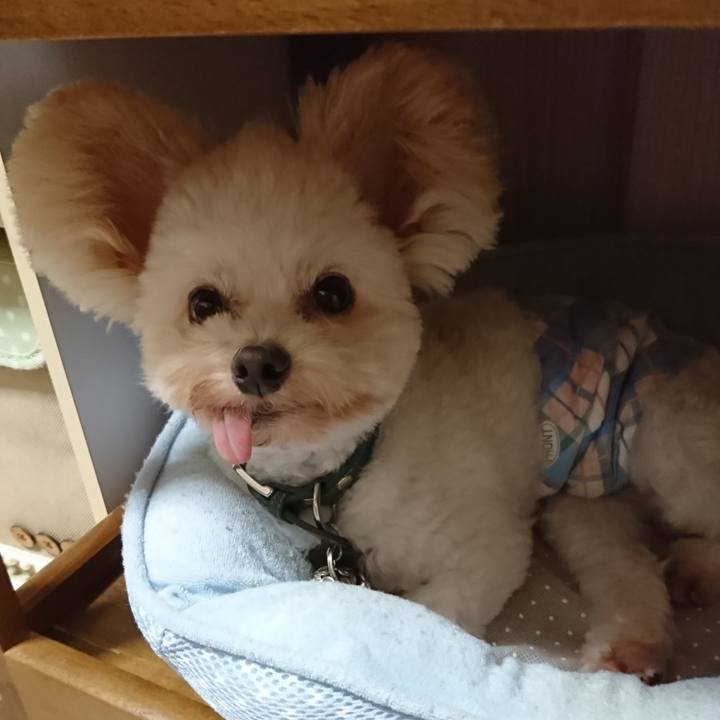 60443e12 2eb8 42d8 bd11 a008021ca4ff 1538974790182