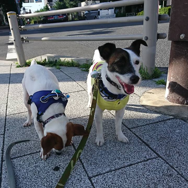 60444060 b21d 4d35 8515 a8b2e3b82729 1530396101857